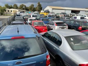 Cars of every make at the Auto Removal Adelaide yard